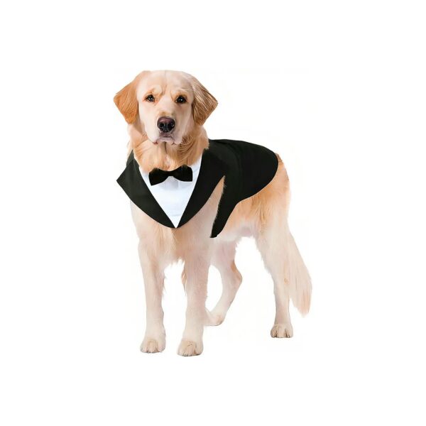 Large Breed Dog Wedding Suit with Bandana and Bow Tie for Golden Retriever