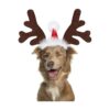 Large Breed Dog and Cat Christmas Costume Headwear with Santa Hat and Antlers