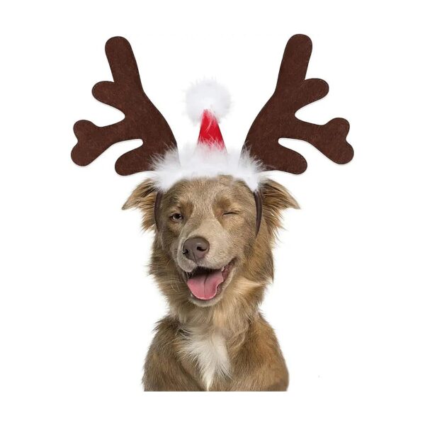 Large Breed Dog and Cat Christmas Costume Headwear with Santa Hat and Antlers