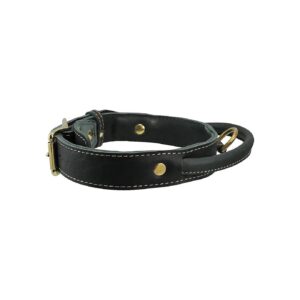 Large Breed Leather Dog Collar with Rolled Leather Handle and Brass Accents