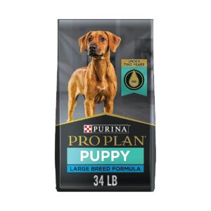 Large Breed Puppy Food with Joint Support, Chicken and Omega-Rich Ingredients