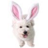 Large Bunny Rabbit Costume Headband for Dogs with Ears for Halloween and Easter Occasions