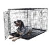 Large Capacity 2 Door Foldable Dog Crate with Strong Metal Construction