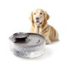 Large Capacity Dog Water Fountain with Quiet Pump and 3 Filters for Multi-Pet Households