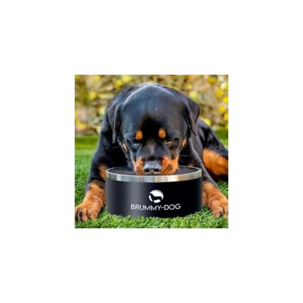 Large Capacity Insulated Stainless Steel Dog Bowl with Powder Coated