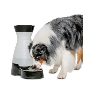 Large Capacity Pet Water Station with Stainless Steel Bowl for Hydrated Dogs and Cats