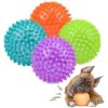 Large Diameter Spiky Dog Balls for Medium to Large Breed Dogs