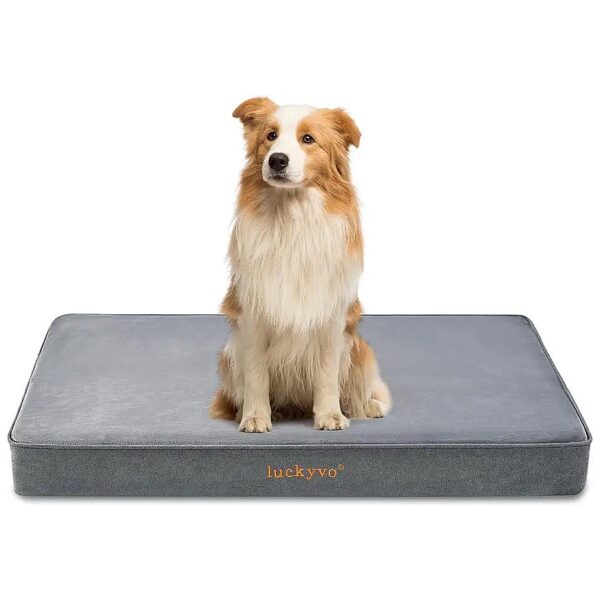 Large Dog Bed Orthopedic Gel Memory Foam Waterproof Removable Cover 35x22x3 inches Grey