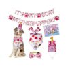 Large Dog Birthday Party Kit with Boy Hat, Bandana, and Personalized Banner