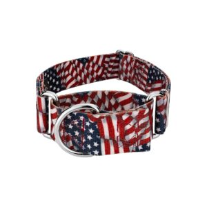 Large Dog Collar with 4 Patriotic Designs, 1 1/2 Inch Wide