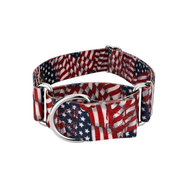 Large Dog Collar with 4 Patriotic Designs, 1 1/2 Inch Wide