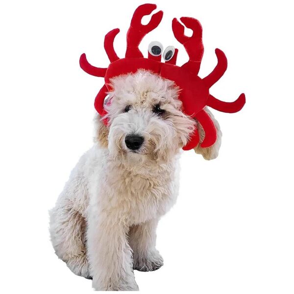 Large Dog Costume - ComfyCamper Crab Dog Costume for Halloween in Red with Soft Pincers