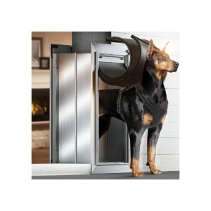 Large Dog Door with Outstanding Durability and Weather Resistance for Your Home