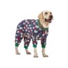 Large Dog Fun and Fashionable Christmas Outfit