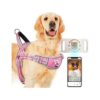 Large Dog Harness with No Pull Design for Extra Comfort and Visibility