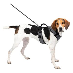 Large Dog Harness with Reflective Piping and Control Handle for Active Canines