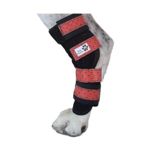 Large Dog Leg Braces with Metal Springs for Joint Arthritis and Injury Recovery