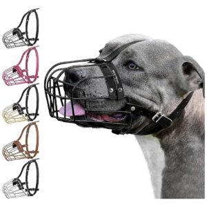 Large Dog Muzzle for Pitbull and Amstaff with Stainless Steel Frame and Leather Straps