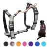 Large Dog No Choke Harness with Reflective Straps and Adjustable Fitment for Outdoor Fun