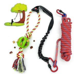 Large Dog Outdoor Play Toy with Chew Rope and Bungee Cord Tether Toy for Tug-of-War