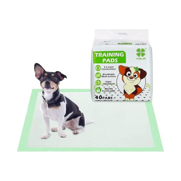 Large Dog Pee Pads with Quick-Dry Mesh Surface 24 x 18 Inches 40 Pack