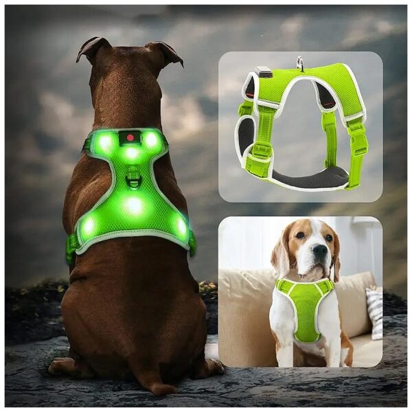 Large Dog Safety Harness with USB Rechargeable LED Lights and Adjustable Mesh