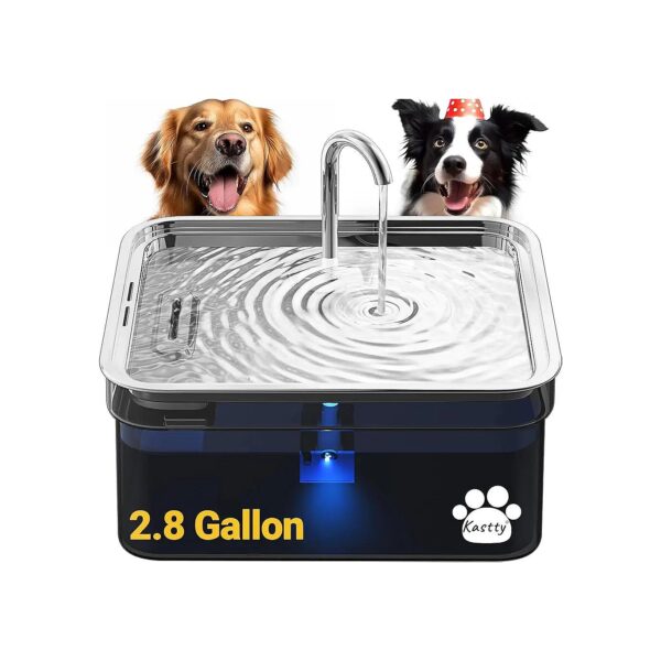 Large Dog Water Fountain with Transparent Black Design and Stainless Steel Bowl