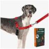 Large Dogs with Front-Leash Attachment for Easy Control