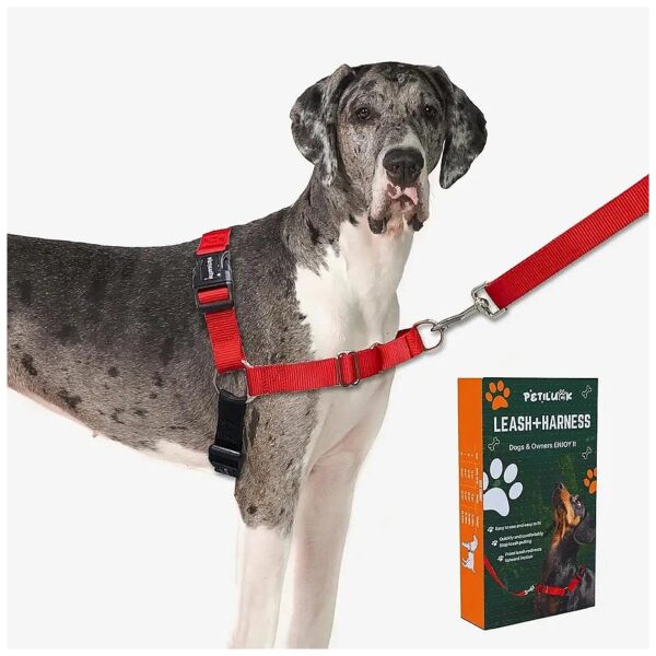 Large Dogs with Front-Leash Attachment for Easy Control