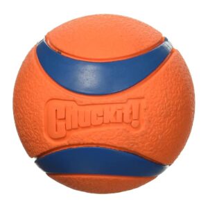 Large/Grande Orange Dog Ball 2 Pack for Easy to Clean Play