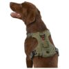 Large Green Polyester Blend Waste Bag Harness for Demanding Dogs on Long Walks