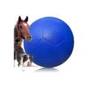 Large Herding Ball for Herding Dogs with Unmatched Durability and Exercise Potential