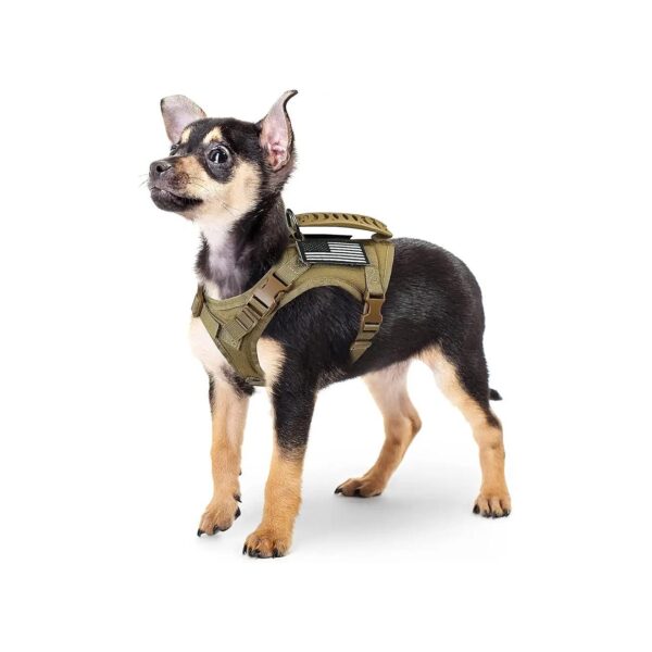 Large Khaki Size, Puppy Training and Comfort