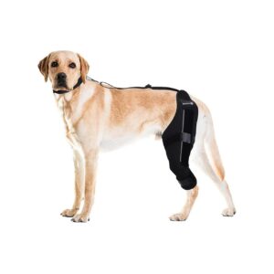 Large Left Hind Leg Dog Knee Brace for Torn ACL, Luxating Patella and Arthritis Relief