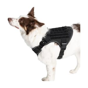 Large Medium Dogs, Perfect for Walks, Runs, and Hikes with Added Control and Safety