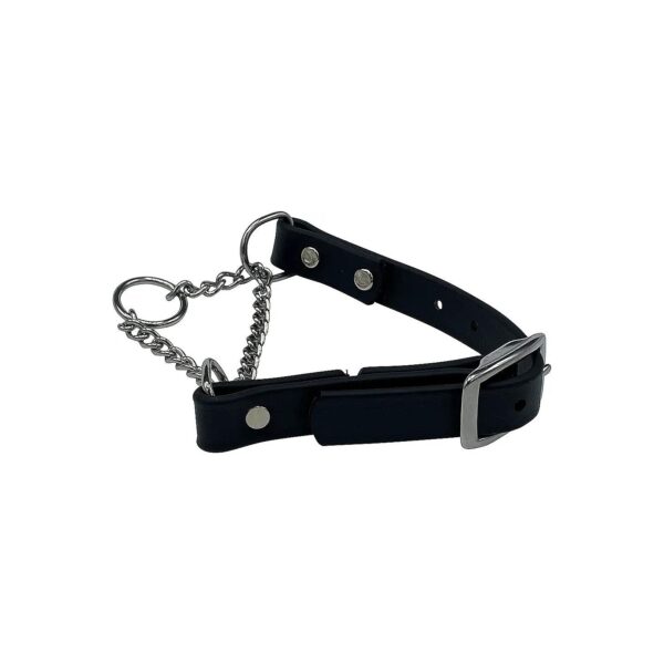 Large No Pull Biothane Martingale Collar with Stainless Steel Buckle, Black, Made in USA