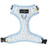 Large No-Pull Harness for Small Medium Large Dogs in Blue Yellow Daisies