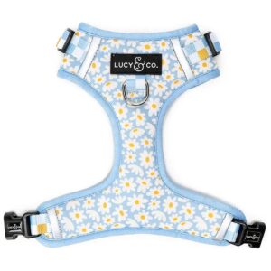 Large No-Pull Harness for Small Medium Large Dogs in Blue Yellow Daisies