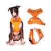 Large Orange Dog Harness with Buckle Closure and Adjustable Sizes for Comfort and Safety