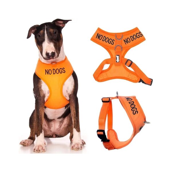 Large Orange Dog Harness with Buckle Closure and Adjustable Sizes for Comfort and Safety