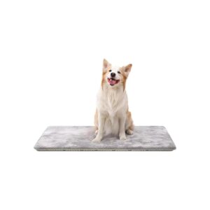 Large Orthopedic Dog Bed for Crate Supportive Foam Mat Washable Gray 35x22