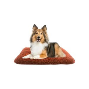 Large Orthopedic Dog Bed for Medium Large Dogs with Waterproof and Anti Slip Features