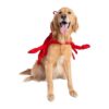 Large Pet Lobster Costume for Cats and Dogs Halloween