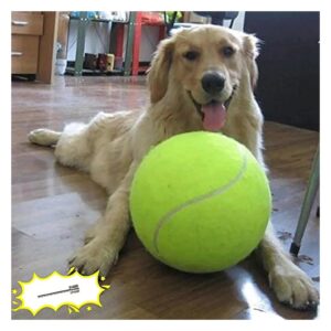 Large Pet Tennis Ball Gift with Inflating Needles for Small Medium Large Dog Outdoor Play