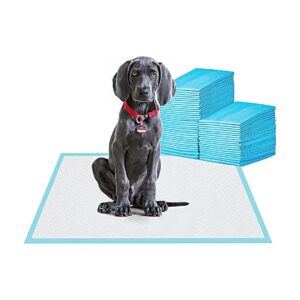 Large Pet Training Pads 24x24 High Absorbency Puppy Pads for Dogs 80 Count Non-Slip