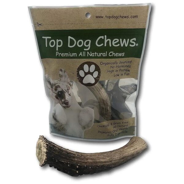 Large, Premium Deer Antler Dog Chew for Small to Large Breed Dogs