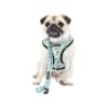 Large Pug Vest Harness Breathable Mesh Interior Liner 4 Adjustable Buckles