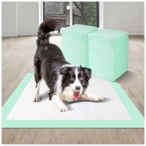 Large Size 24'' X 23'' Puppy Training Pads for Adult Dogs and Puppies