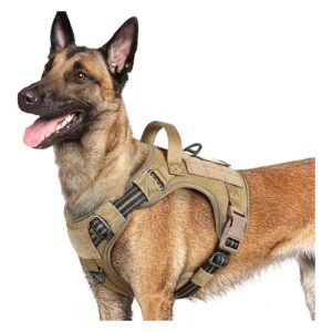 Large Size Dog Vest with Reflective Accents and Adjustable Straps for Easy Walking