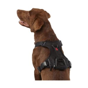 Large Size Polyester Blend Waste Bag Harness with Durable Hardware and Reflector